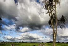 北控105-91大胜深圳,赛后迎来2喜1忧,萨林杰让人失望!.