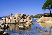 PG:共筑冰雪梦 共绘同心圆(亚冬纵横)——第九届亚洲冬季运动会开幕式侧记人民网-人民日报.